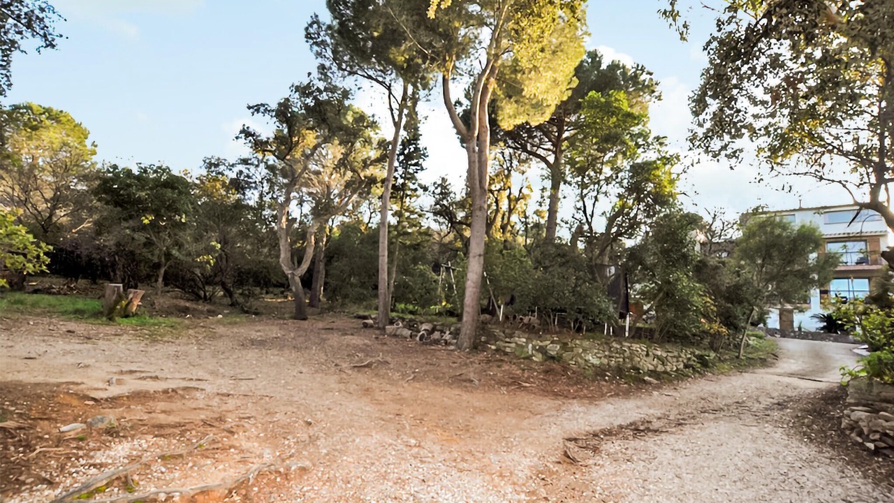 Photo of Others in Plage d'Argeles