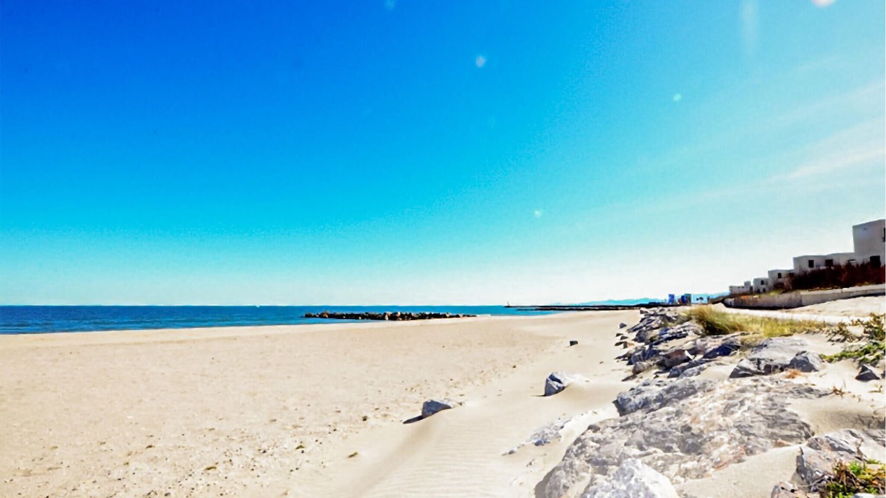 Photo of Others in Plage d'Argeles