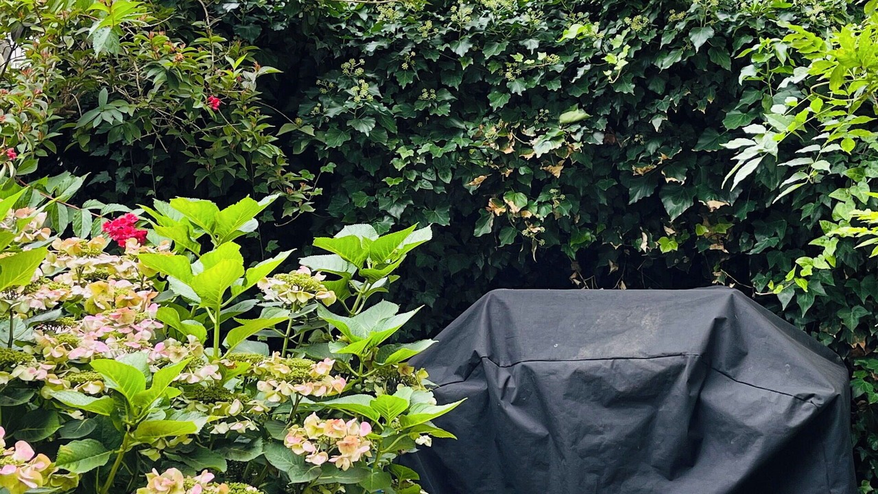Photo of Outdoor in Hellerup