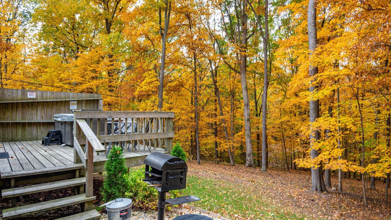 Photo of Outdoor in Unionville