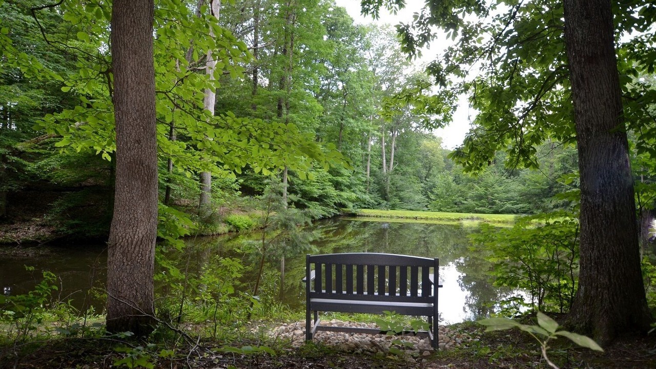 Photo of Outdoor in Unionville