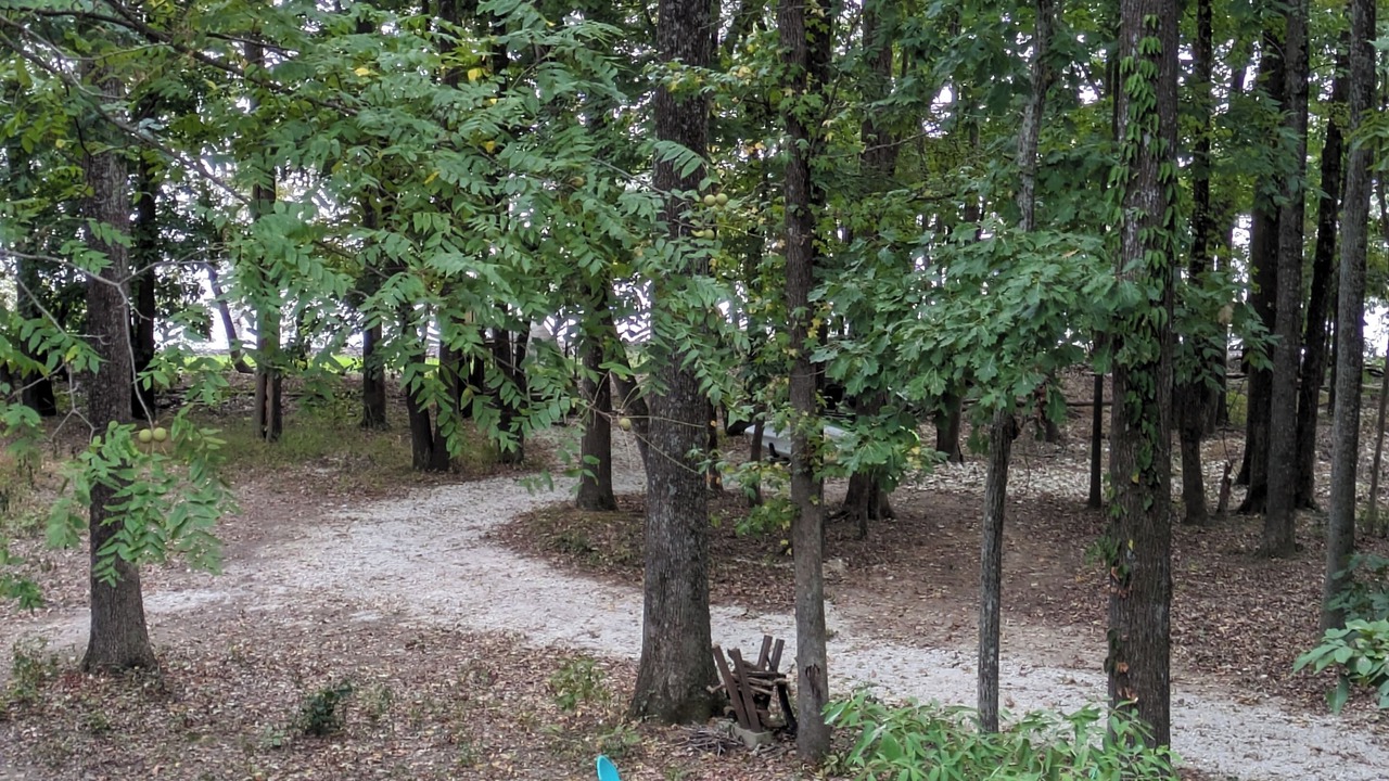 Photo of Outdoor in Big Sandy