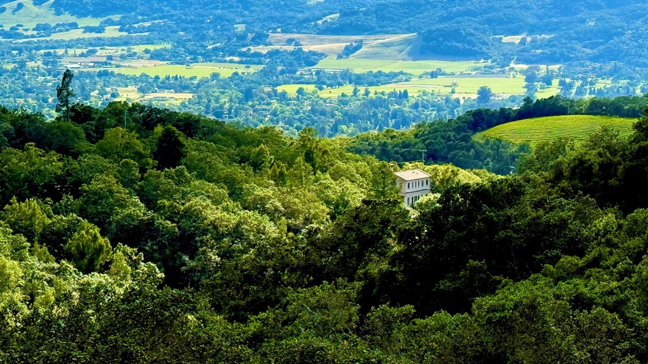Photo of Others in Sonoma