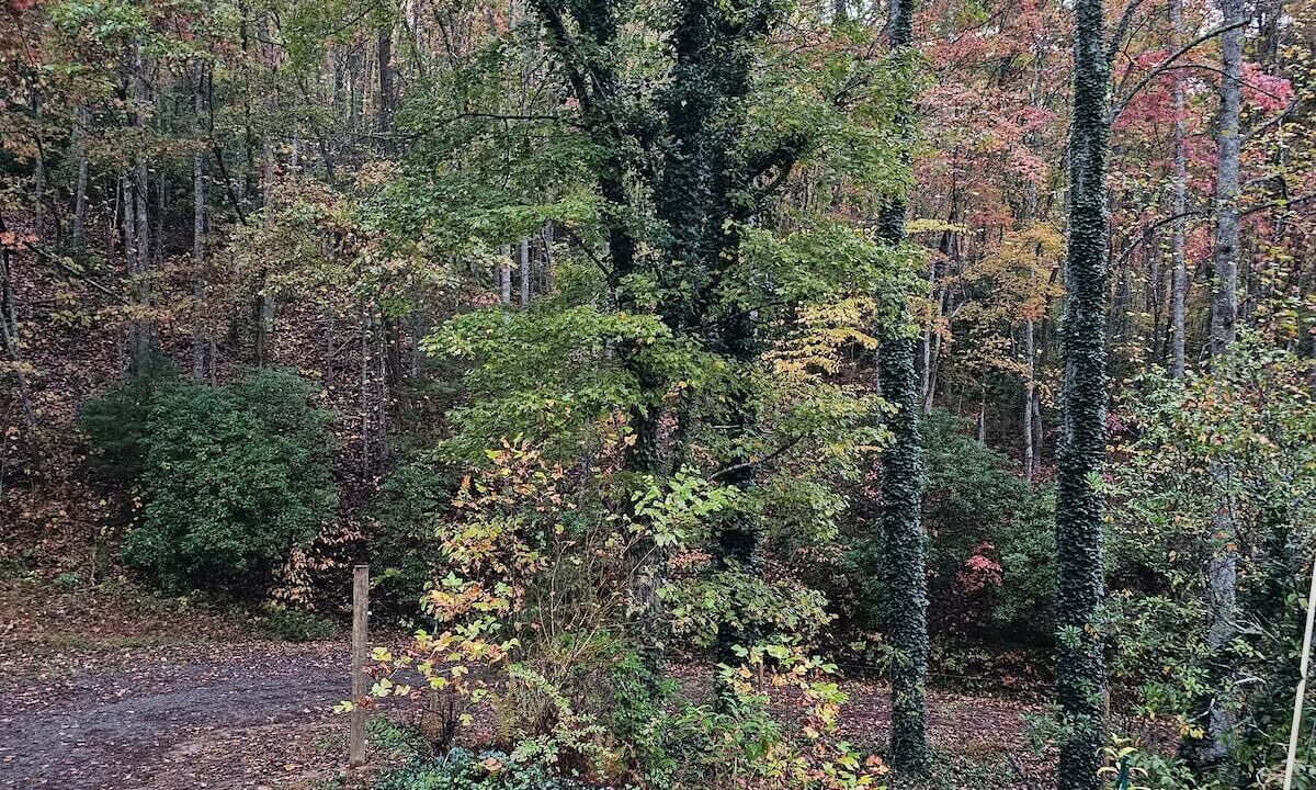 Photo of Outdoor in Turtletown