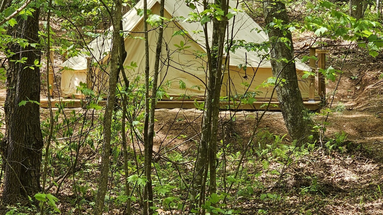 Photo of Others in Turtletown