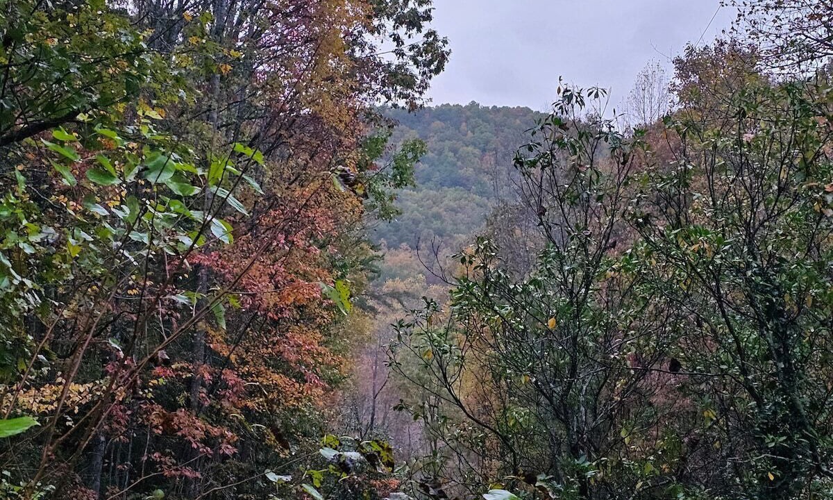 Photo of Outdoor in Turtletown