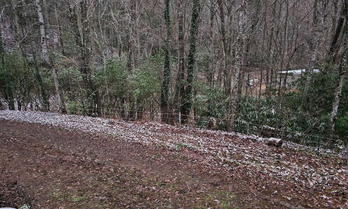 Photo of Outdoor in Turtletown