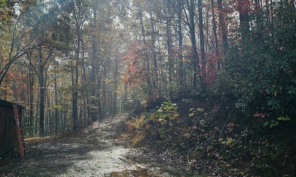 Photo of Outdoor in Turtletown