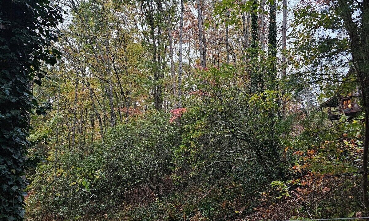 Photo of Outdoor in Turtletown