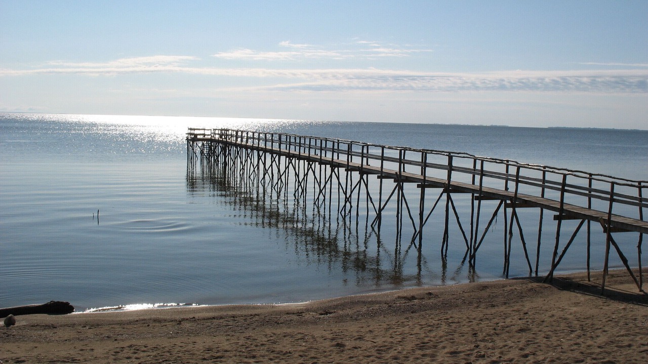 Photo of Others in St. Andrews