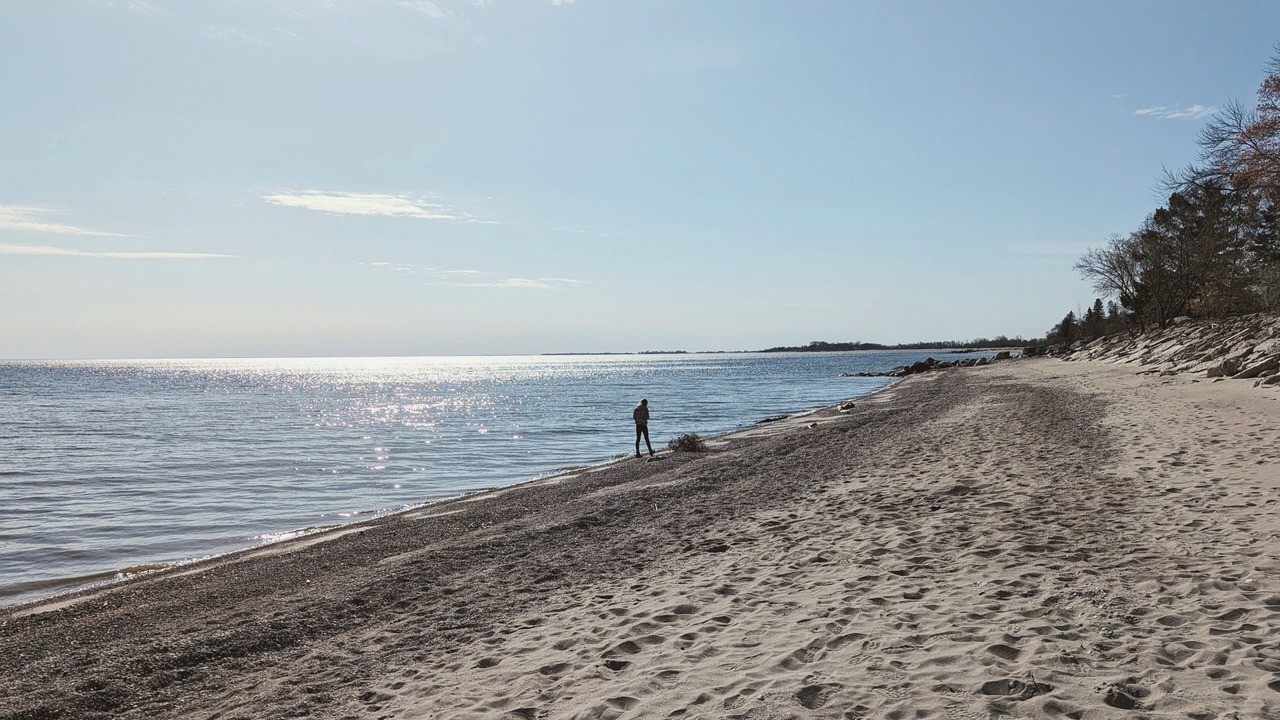 Photo of Others in St. Andrews
