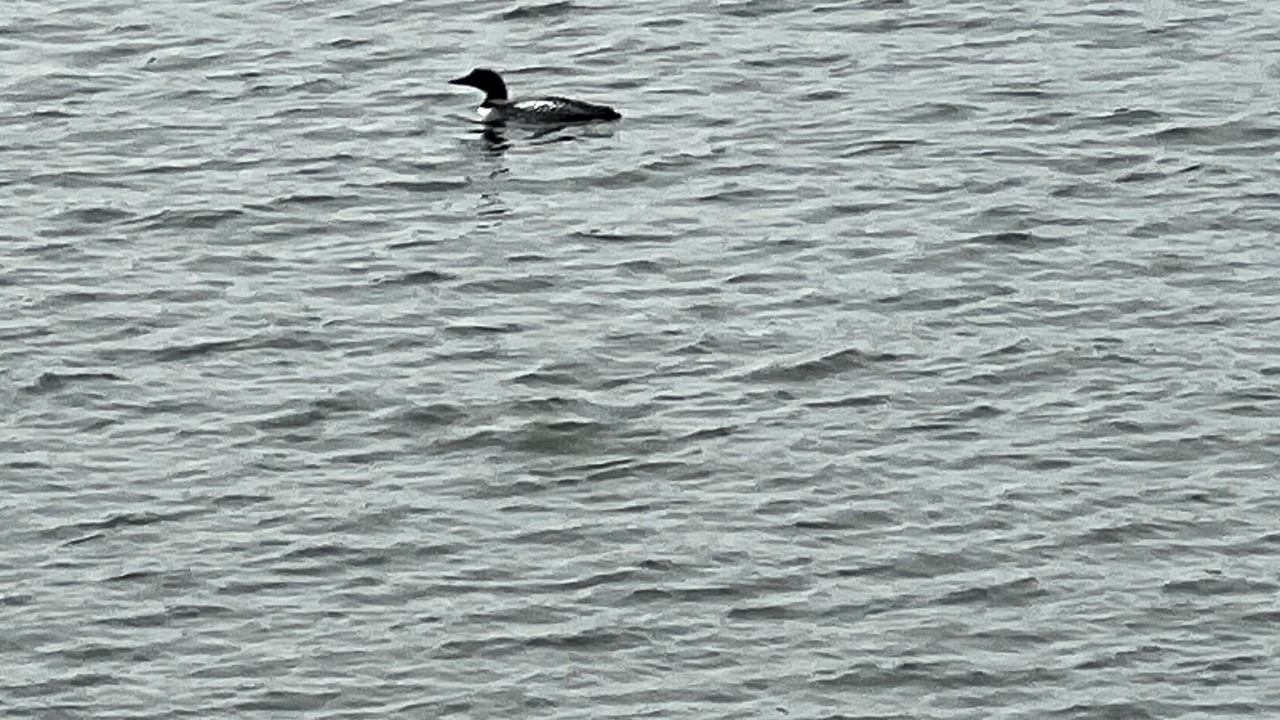 Photo of Others in Fair Haven