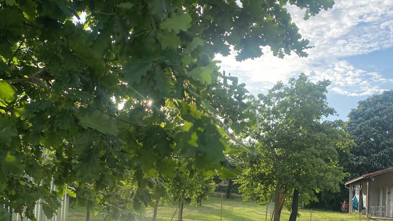 Photo of Outdoor in Lavit