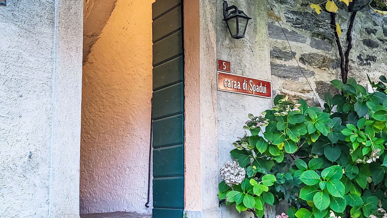 Photo of Others in Aurigeno