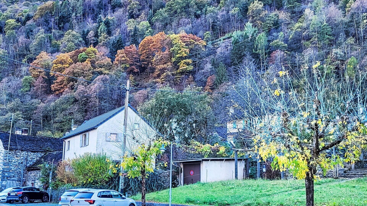 Photo of Others in Aurigeno