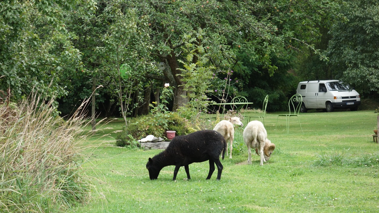 Photo of Others in Gahard