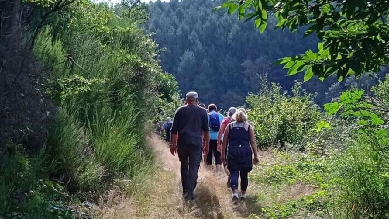 Photo of Others in Pleaux