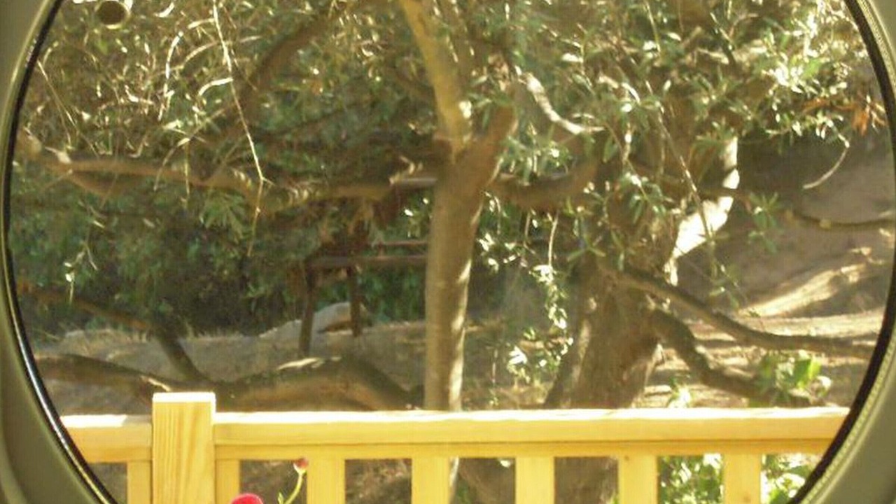 Photo of Others in Lezignan-Corbieres