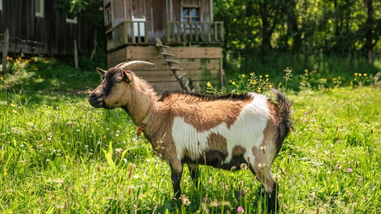 Photo of Others in Saint-Amand-de-Coly