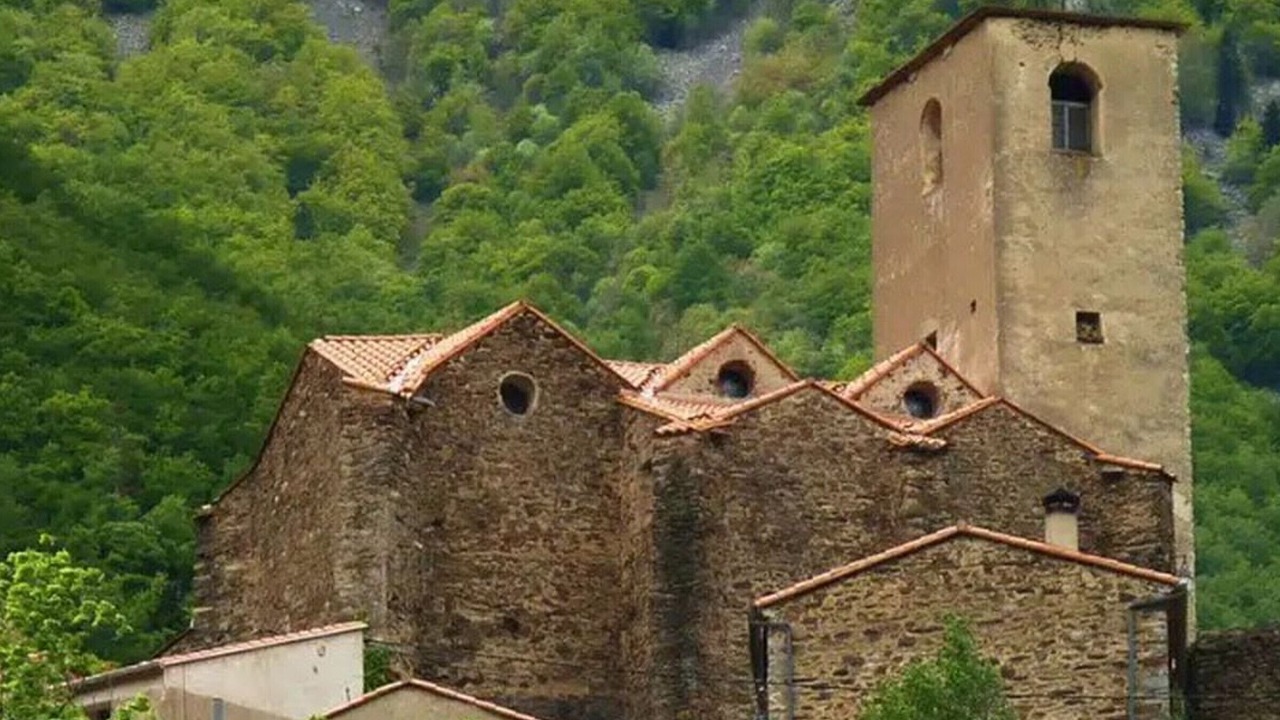 Photo of Others in Vinca