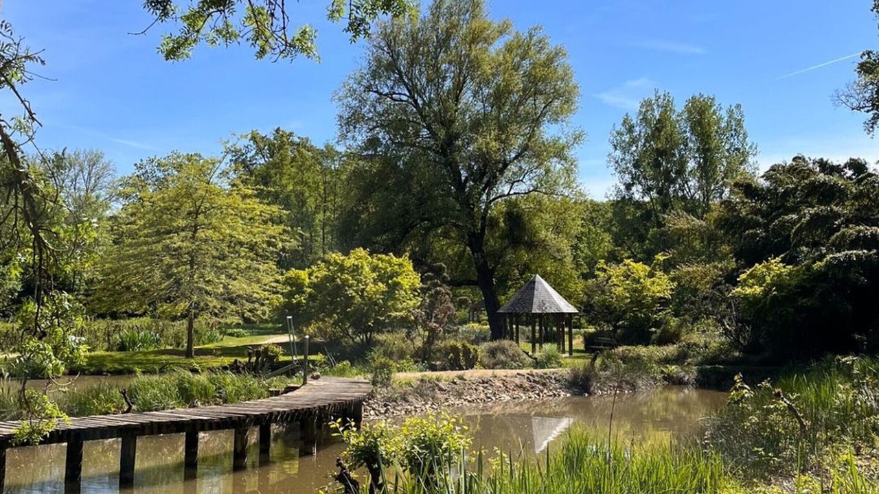 Photo of Others in Salles-en-Toulon