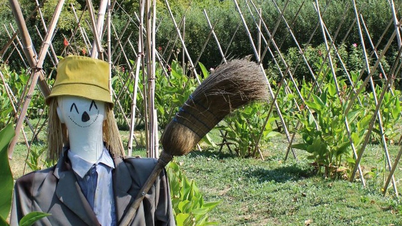 Photo of Others in Salles-en-Toulon