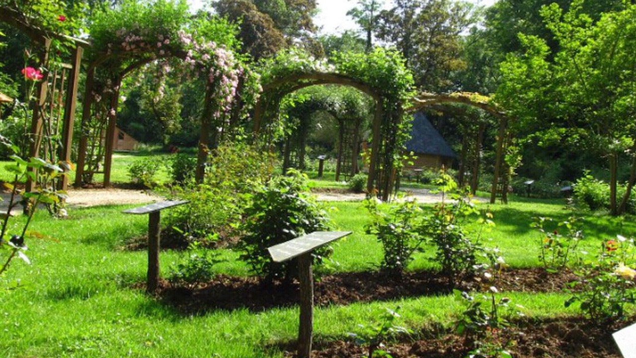 Photo of Outdoor in Salles-en-Toulon
