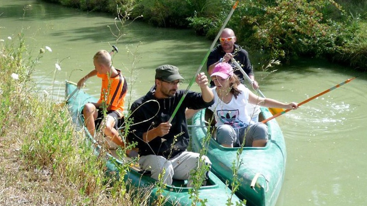 Photo of Others in Chaille-les-Marais