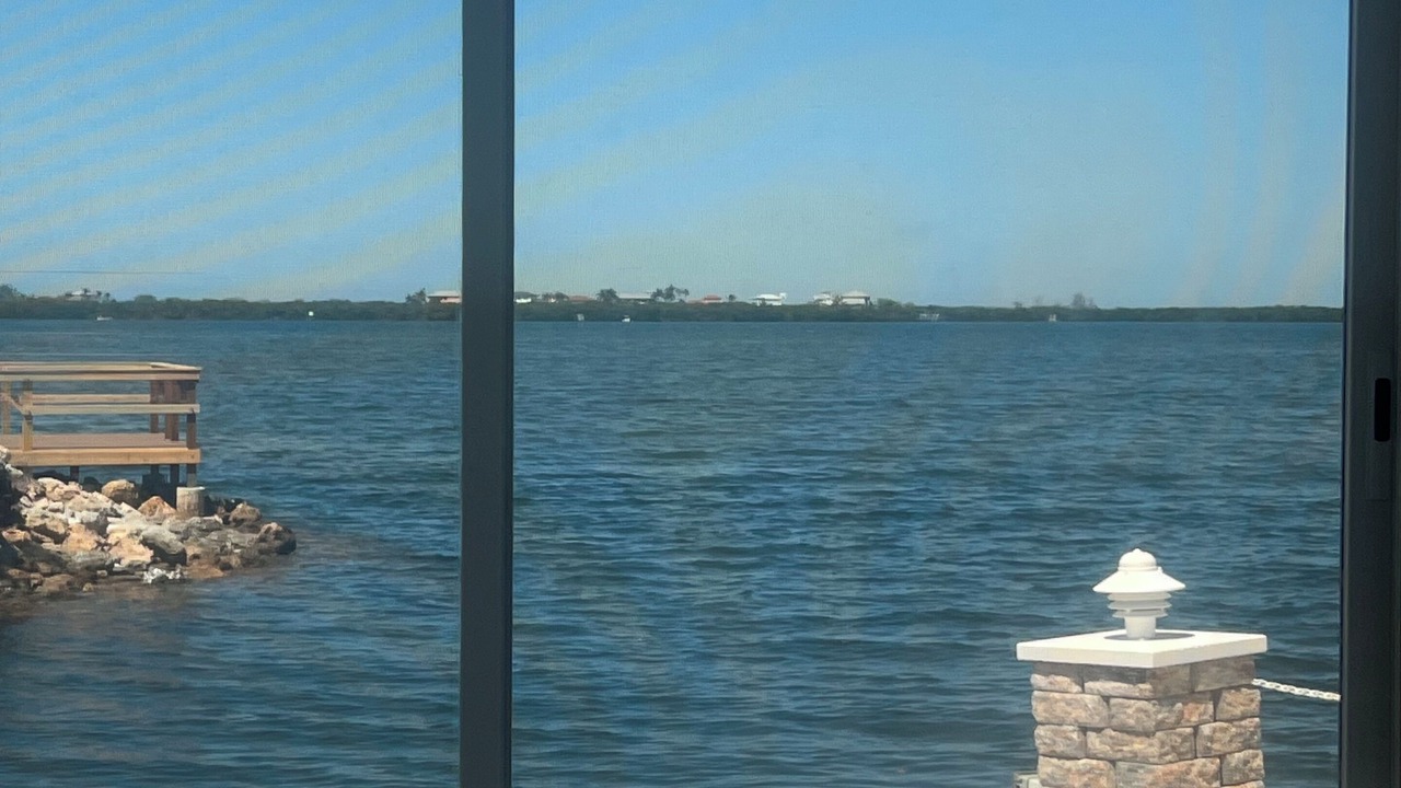Photo of Others in Palmetto