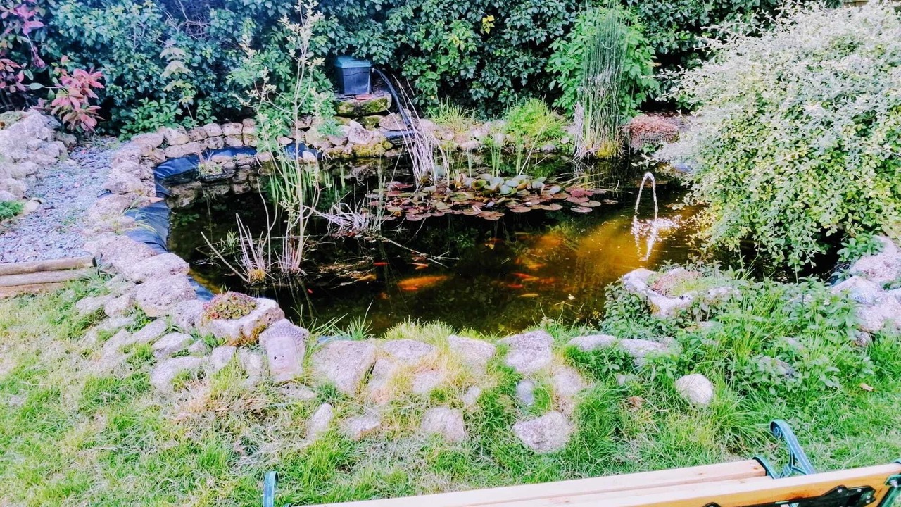Photo of Outdoor in Baignolet