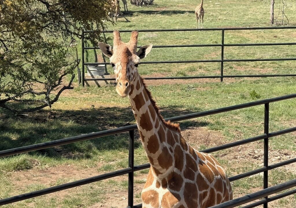Photo of Others in Lampasas