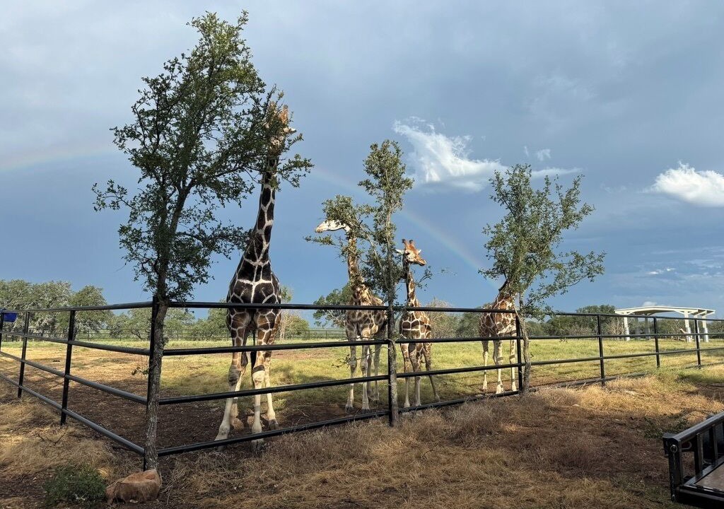 Photo of Others in Lampasas