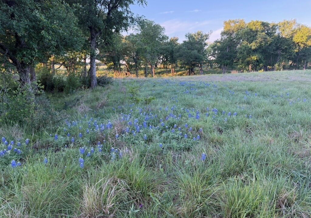 Photo of Others in Lampasas