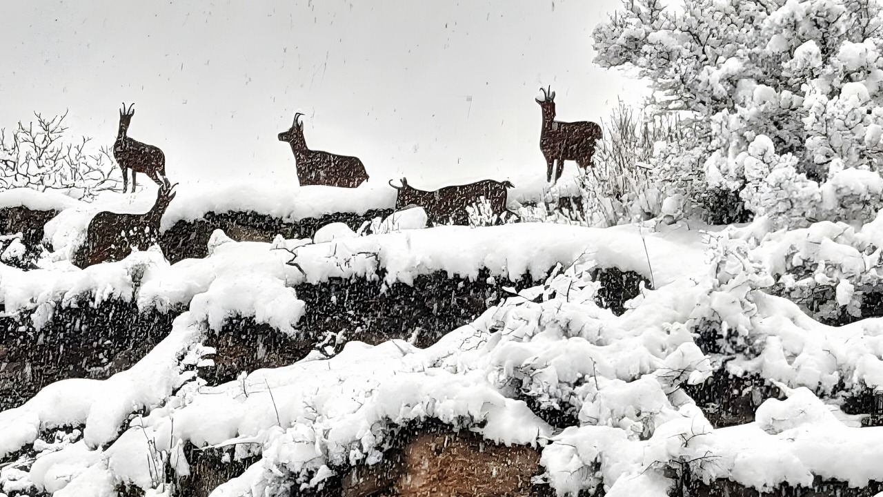 Photo of Others in Benasque