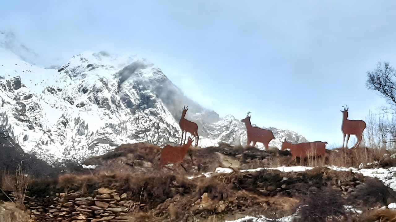 Photo of Others in Benasque