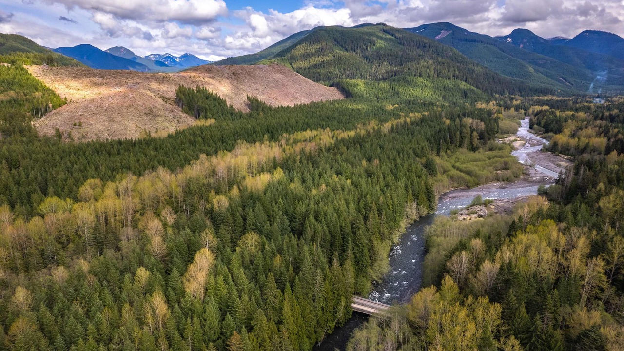Photo of Others in Enumclaw