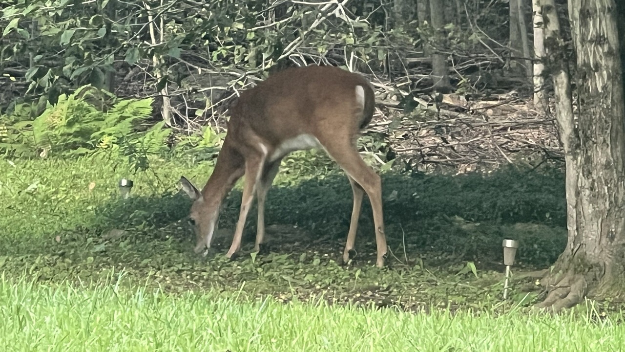 Photo of Others in Tolland