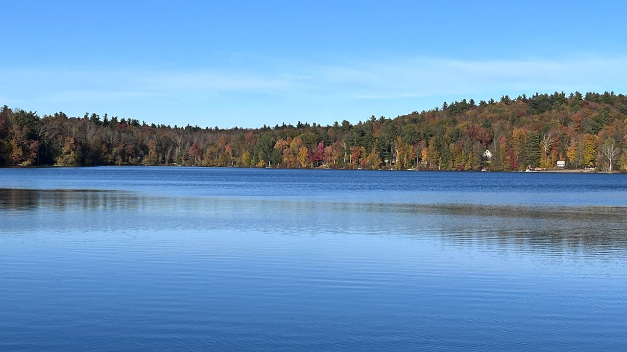 Photo of Others in Tolland