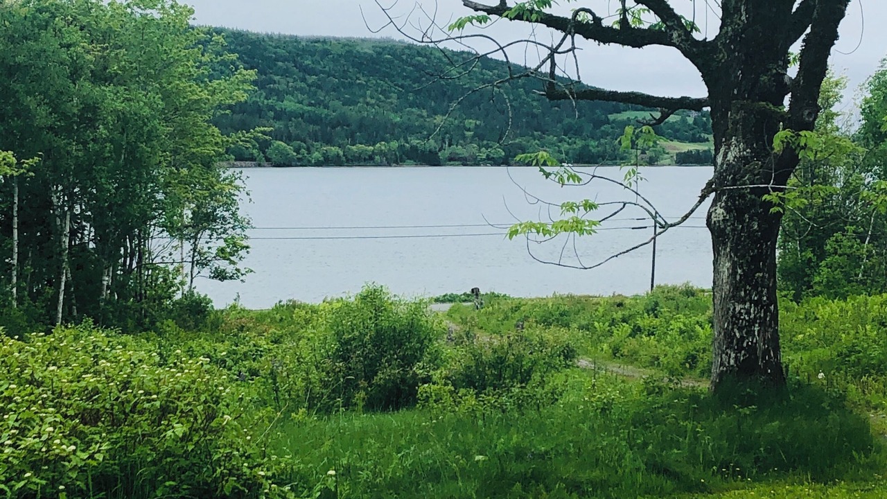 Photo of Others in Baddeck