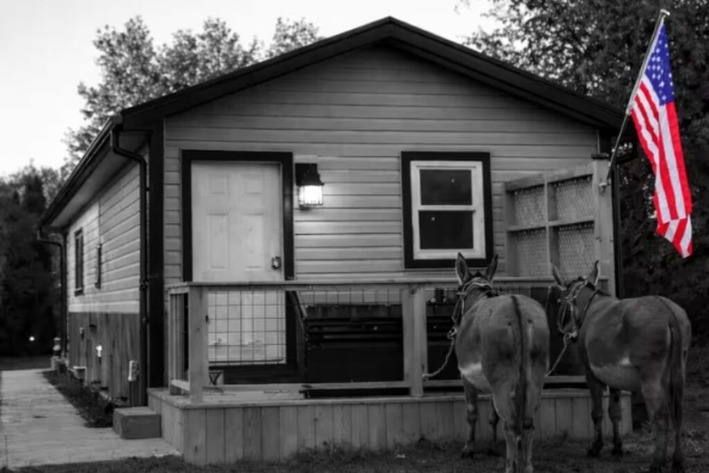 Photo of Outdoor in Freedom