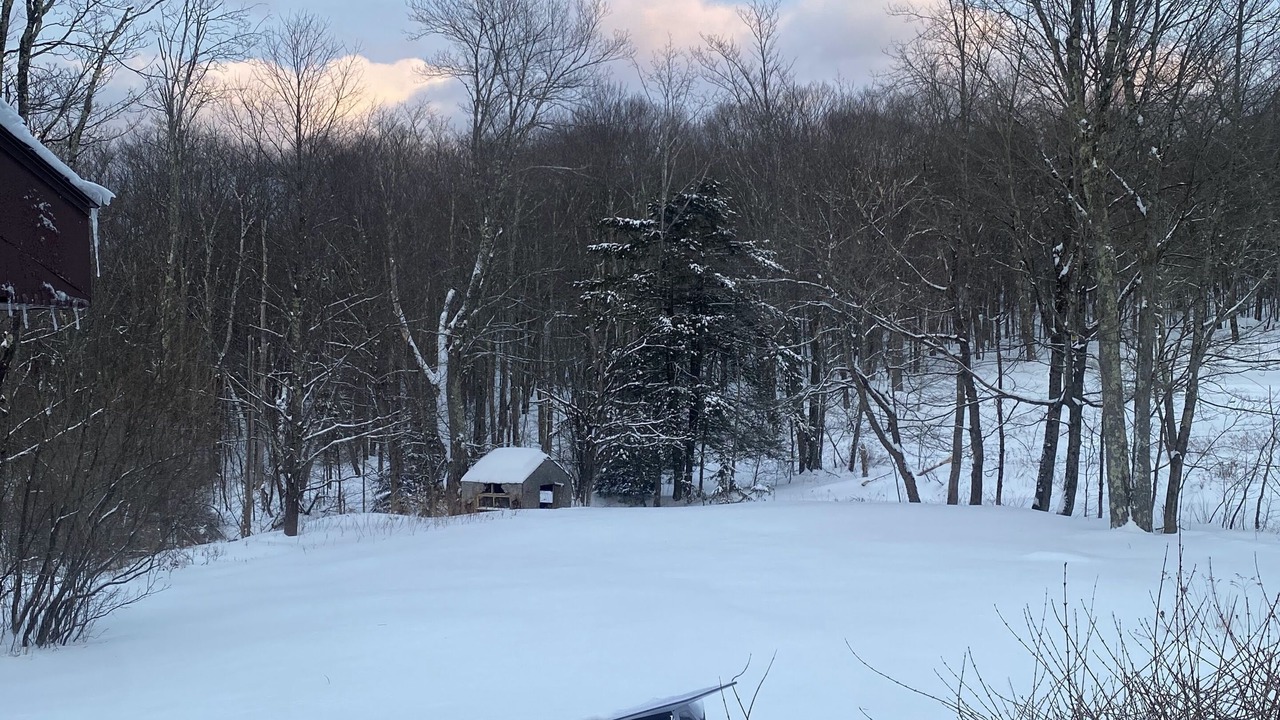 Photo of Outdoor in Roscoe