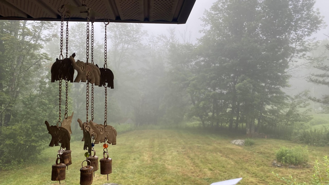 Photo of Outdoor in Roscoe