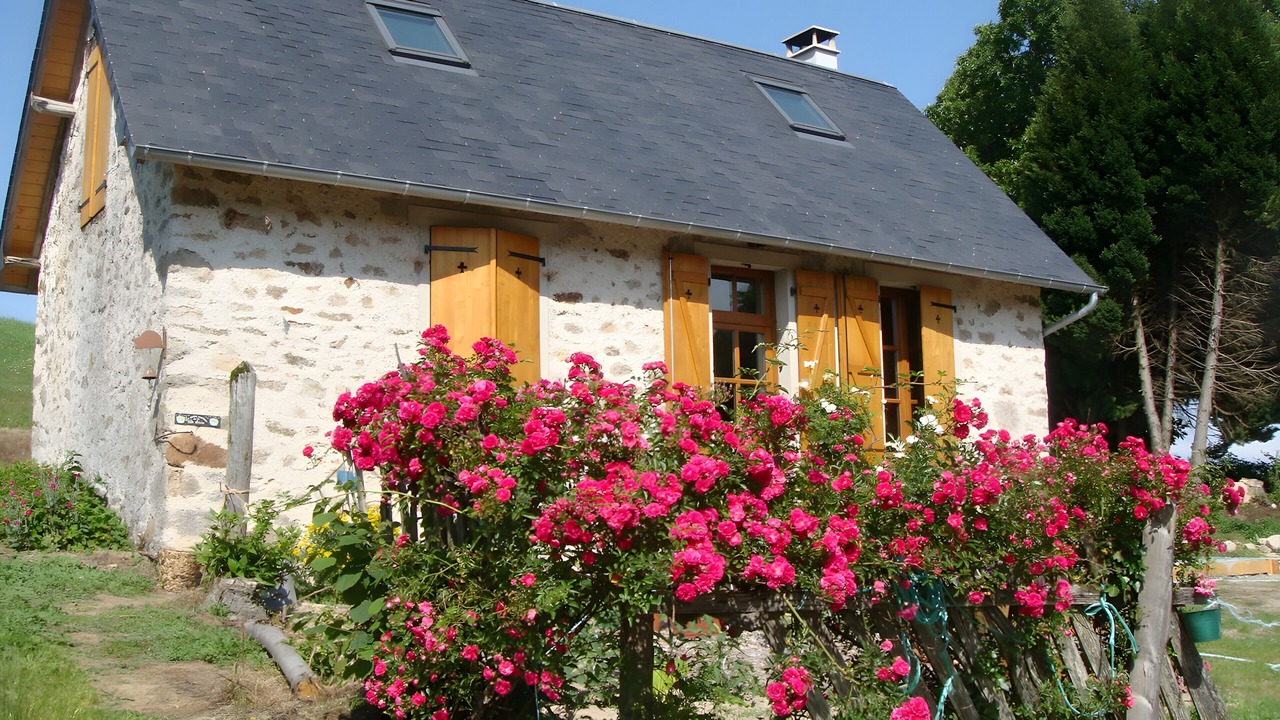 Photo of Outdoor in Chamberet