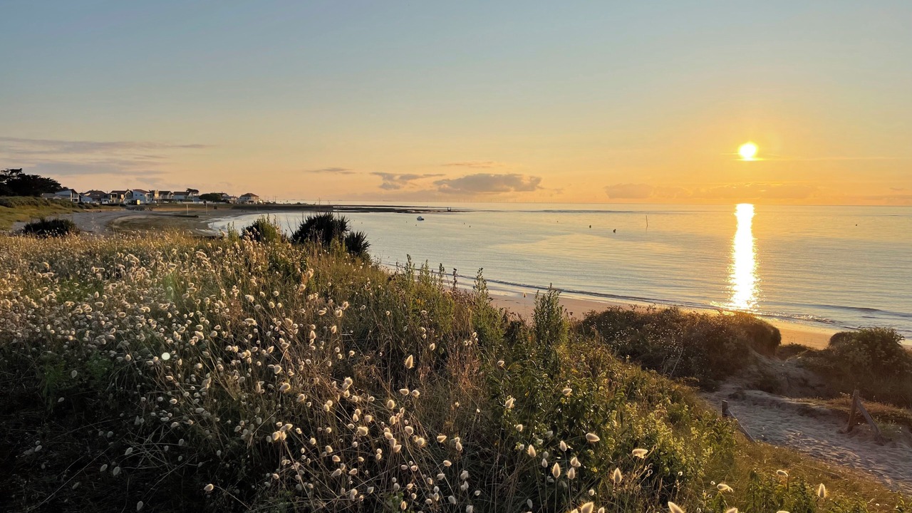 Photo of Others in La Plaine-sur-Mer
