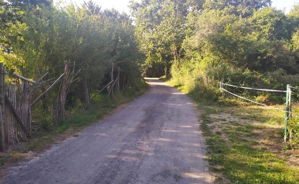 Photo of Others in La Plaine-sur-Mer