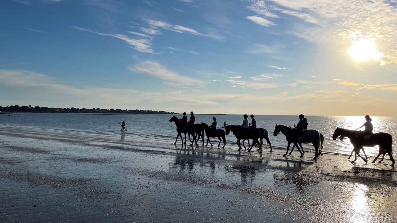 Photo of Others in La Plaine-sur-Mer