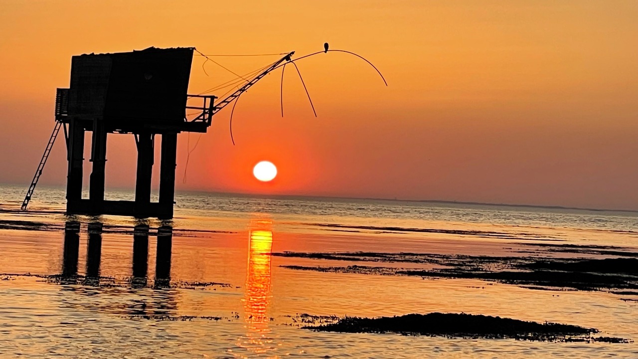 Photo of Others in La Plaine-sur-Mer