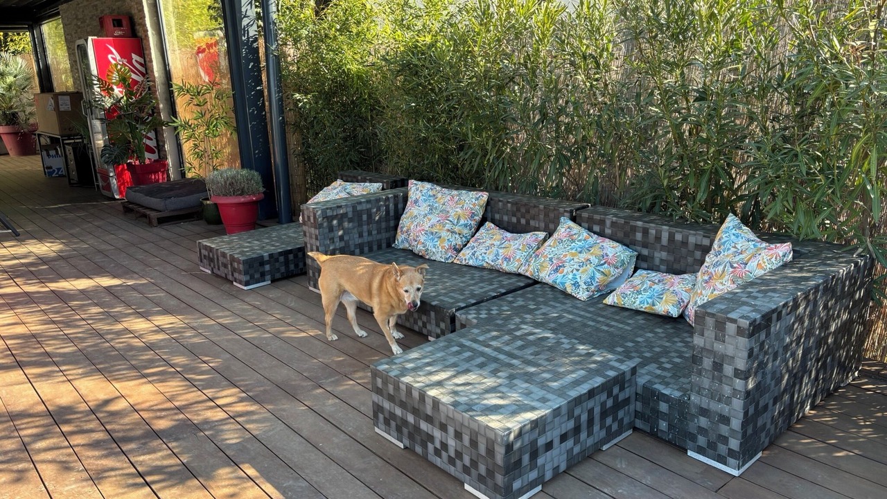 Photo of Patio Balcony in Bouc-Bel-Air