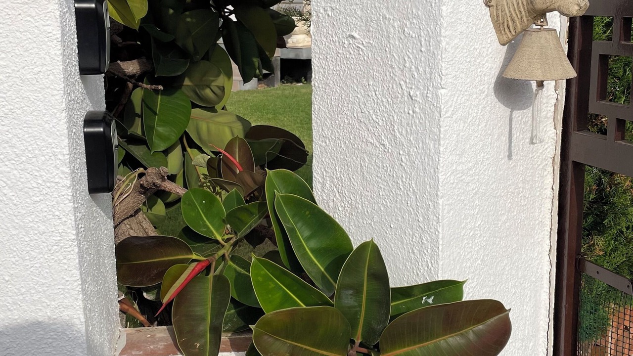 Photo of Outdoor in Vinaros