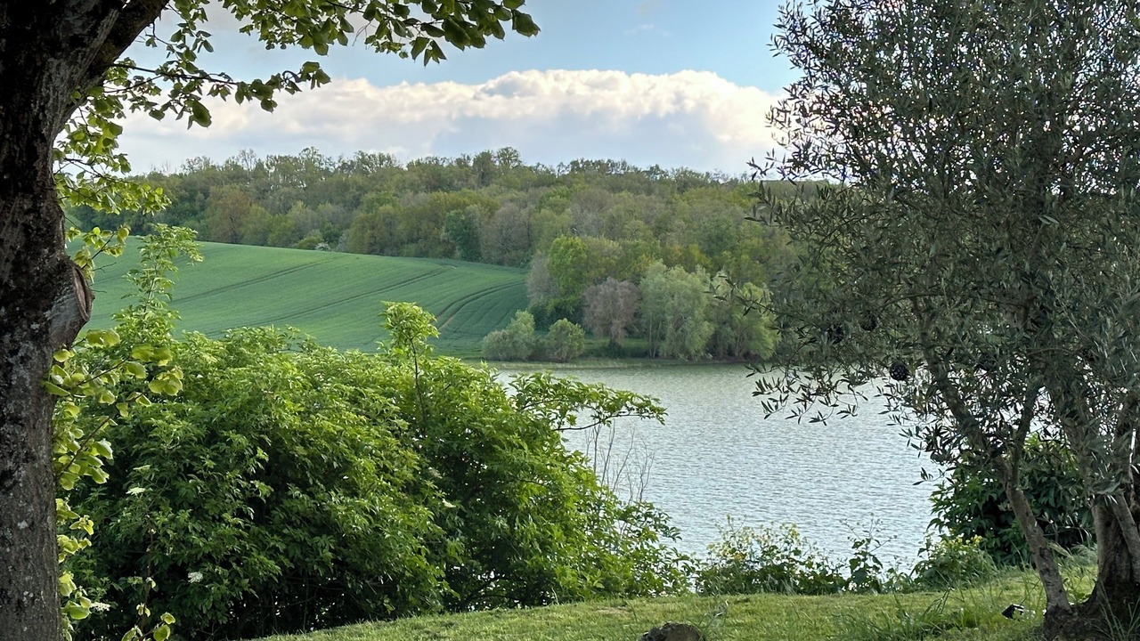 Photo of Others in Montpitol
